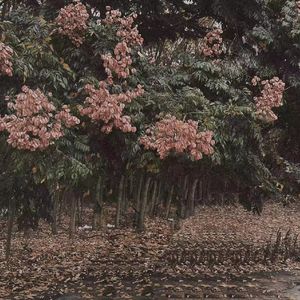 大胸妹子脱光衣服被操
